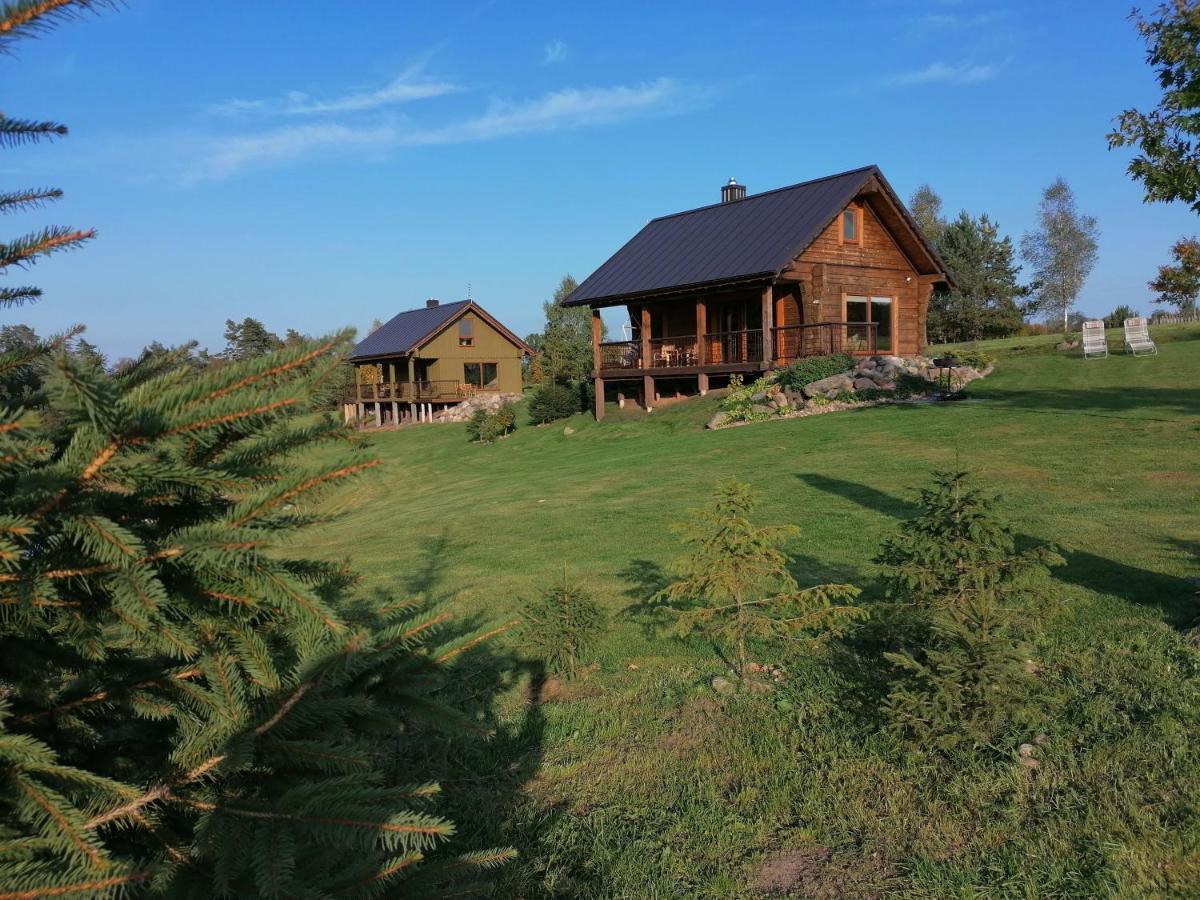 Vip Forest Dreams Villa Anyksciai Exterior photo