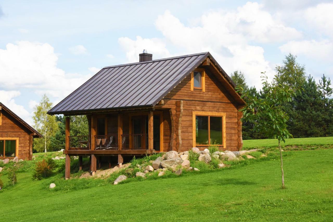 Vip Forest Dreams Villa Anyksciai Exterior photo