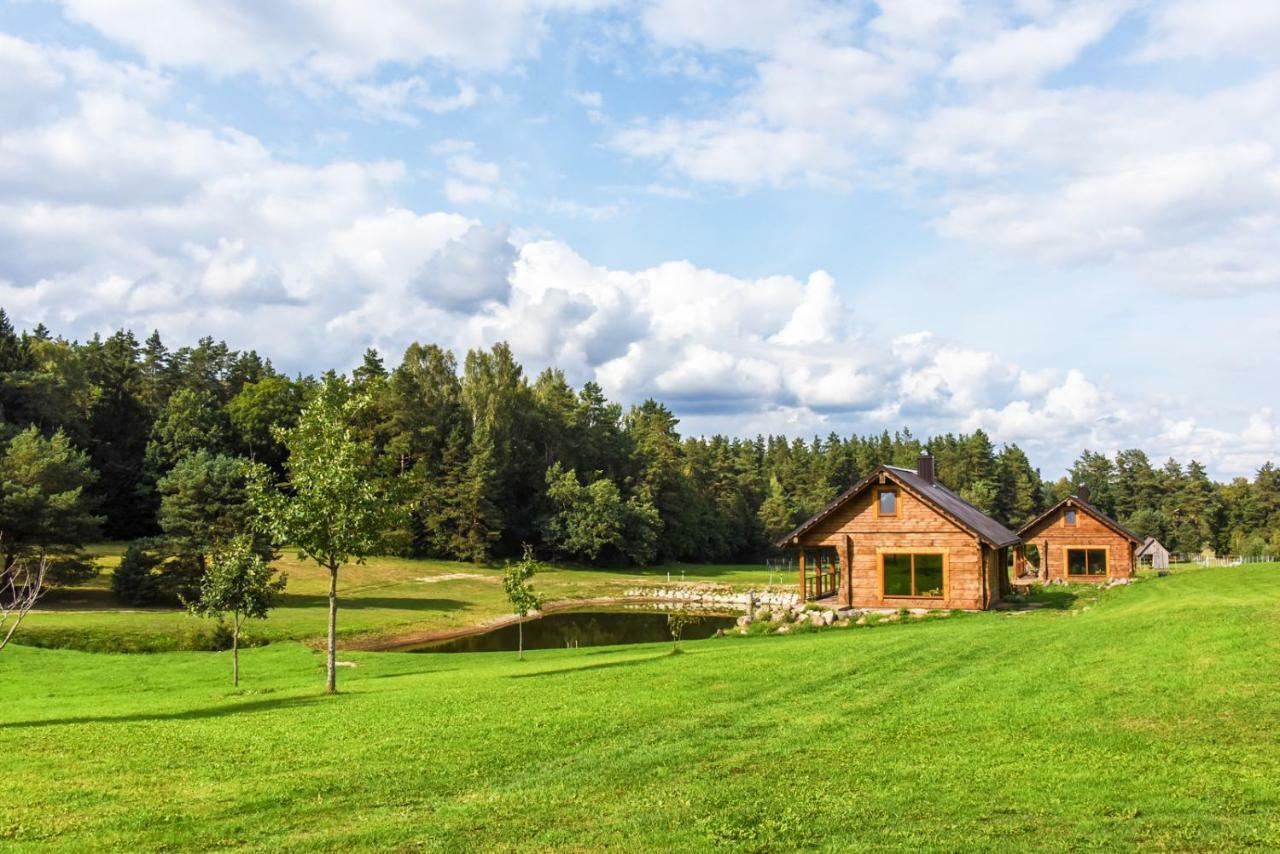 Vip Forest Dreams Villa Anyksciai Exterior photo