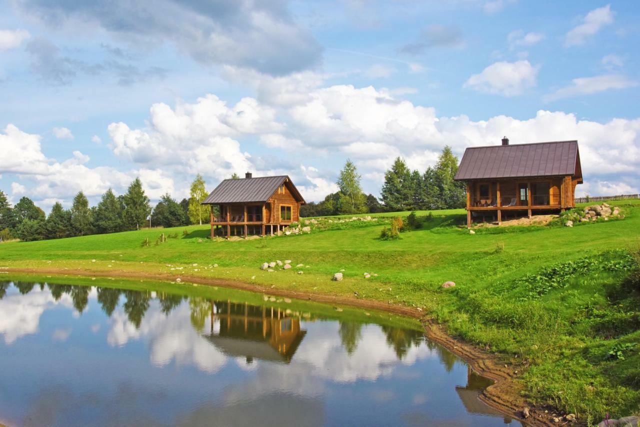 Vip Forest Dreams Villa Anyksciai Exterior photo