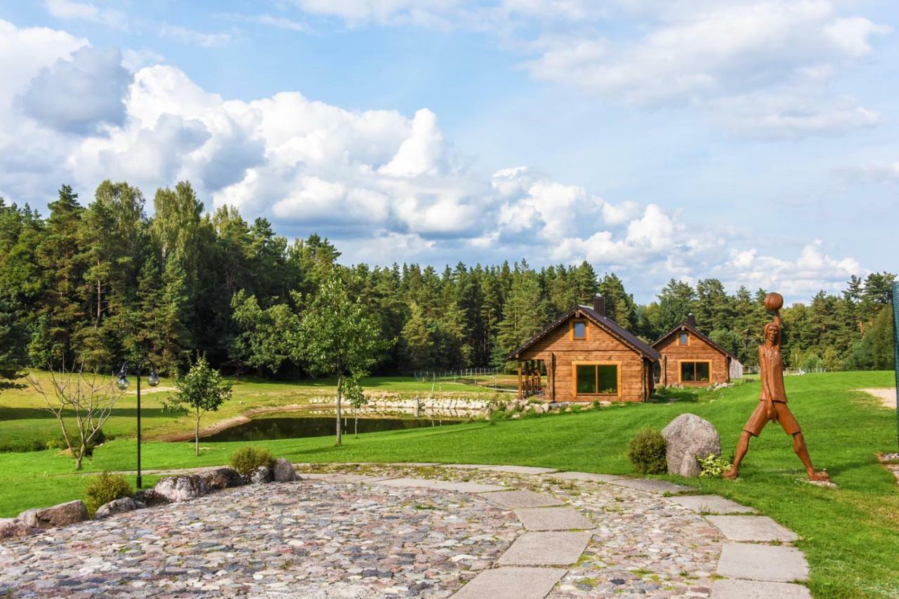 Vip Forest Dreams Villa Anyksciai Exterior photo